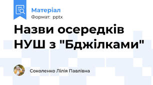 Назви осередків НУШ з "Бджілками"