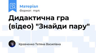 Дидактична гра  (відео) "Знайди пару"