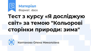 Тест з курсу «Я досліджую світ» за темою "Кольорові сторінки природи: зима"