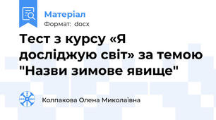 Тест з курсу «Я досліджую світ» за темою "Назви зимове явище"