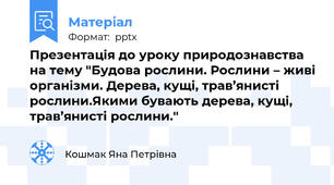 Презентація до уроку природознавства на тему "Будова рослини. Рослини – живі організми. Дерева, кущі, трав’янисті рослини.Якими бувають дерева, кущі, трав’янисті рослини."