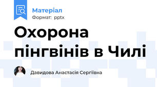 Охорона пінгвінів в Чилі