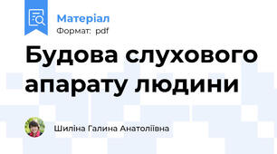 Будова слухового апарату людини