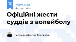 Офіційні жести суддів з волейболу