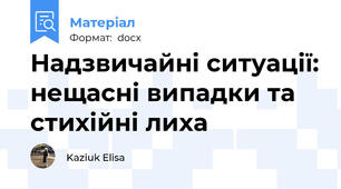 Надзвичайні ситуації: нещасні випадки та стихійні лиха
