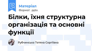Білки, їхня структурна організація та основні функції