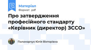 Про затвердження професійного стандарту «Керівник (директор) ЗССО»