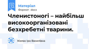 Членистоногі – найбільш високоорганізовані  безхребетні тварини.