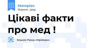 Цікаві факти про мед !