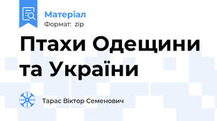 Птахи Одещини та України