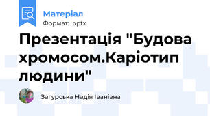 Презентація "Будова хромосом.Каріотип людини"