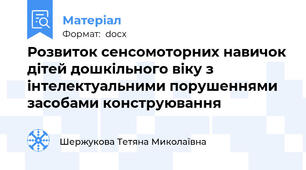 Розвиток сенсомоторних навичок дітей дошкільного віку з інтелектуальними порушеннями засобами конструювання