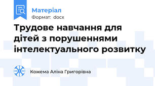 Трудове навчання для дітей з порушеннями інтелектуального розвитку