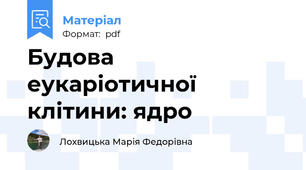 Будова еукаріотичної клітини: ядро