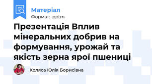 Презентація Вплив мінеральних добрив на формування, урожай та якість зерна ярої пшениці