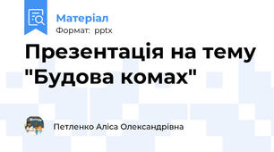 Презентація на тему "Будова комах"