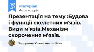 Презентація на тему :Будова і функції скелетних м'язів. Види м'язів.Механізм скорочення м'язів.