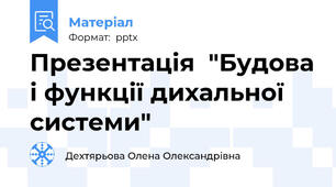 Презентація  "Будова і функції дихальної системи"