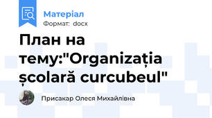 План на тему:"Organizația școlară curcubeul"