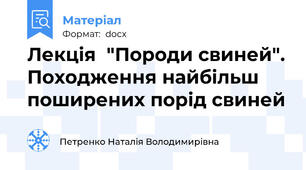 Лекція  "Породи свиней". Походження найбільш поширених порід свиней