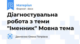 Діагностувальна робота з теми "Іменник" Мовна тема