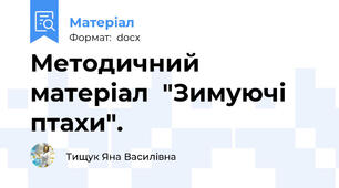 Методичний матеріал  "Зимуючі птахи".