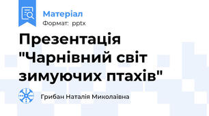 Презентація "Чарнівний світ зимуючих птахів"