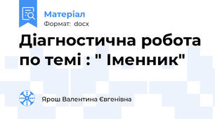 Діагностична робота по темі : " Іменник"