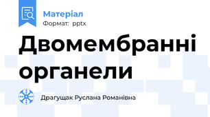 Двомембранні органели