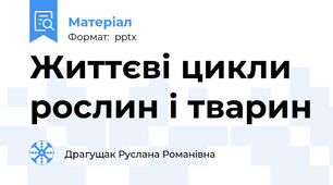 Життєві цикли  рослин і тварин