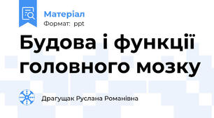 Будова і функції головного мозку