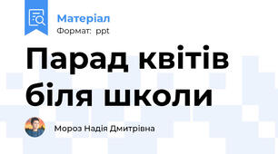 Парад квітів біля школи