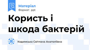 Користь і шкода бактерій