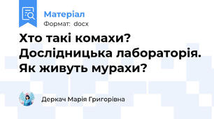 Хто такі комахи? Дослідницька лабораторія. Як живуть мурахи?