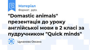 "Domastic animals" презентація до уроку англійської мови в 2 класі за пудручником "Quick minds"