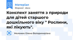 Конспект заняття з природи для дітей старшого дошкільного віку " Рослини, які лікують".