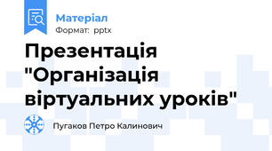 Презентація "Організація віртуальних уроків"