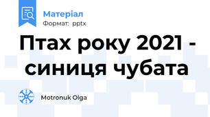 Птах року 2021 -  синиця чубата