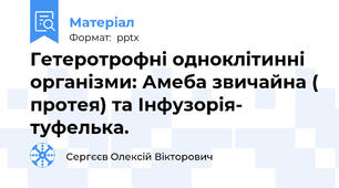 Гетеротрофні одноклітинні організми: Амеба звичайна ( протея) та Інфузорія- туфелька.