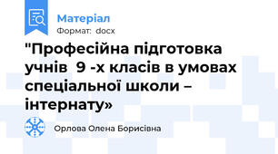 "Професійна підготовка учнів  9 -х класів в умовах спеціальної школи – інтернату»