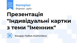 Презентація "Індивідуальні картки з теми "Іменник"