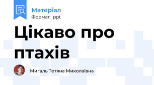 Цікаво про птахів