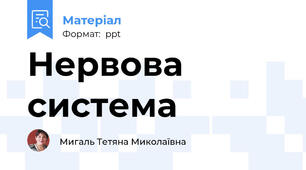 Нервова система