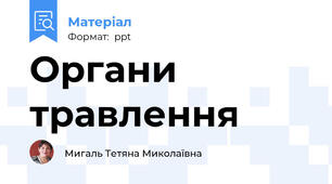 Органи травлення