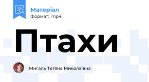 Птахи
