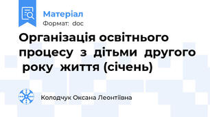 Організація освітнього  процесу  з  дітьми  другого  року  життя (січень)