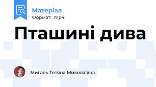 Пташині дива