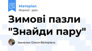 Зимові пазли "Знайди пару"