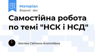 Самостійна робота по темі "НСК і НСД"