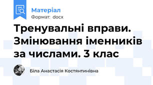 Тренувальні вправи. Змінювання іменників за числами. 3 клас